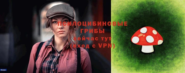 гидра Михайловка
