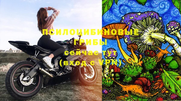 дурь Михайлов