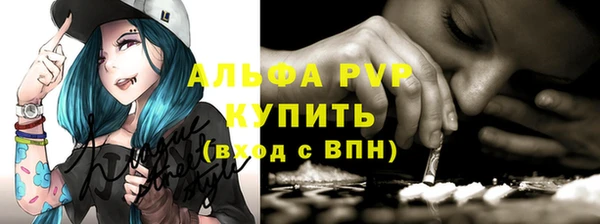 гидра Михайловка