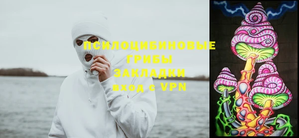 эйфоретик Михайловск