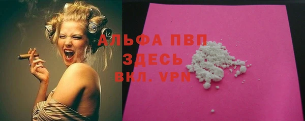 гидра Михайловка