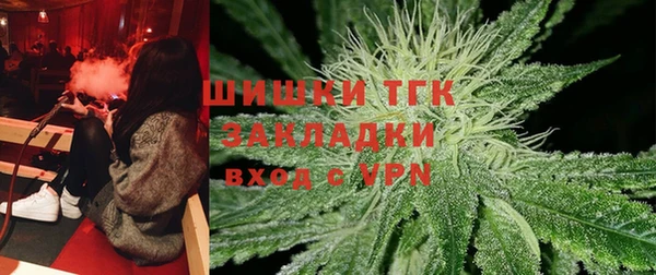 гидра Михайловка