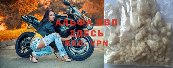 гидра Михайловка
