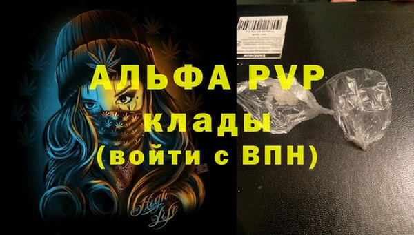эйфоретик Михайловск