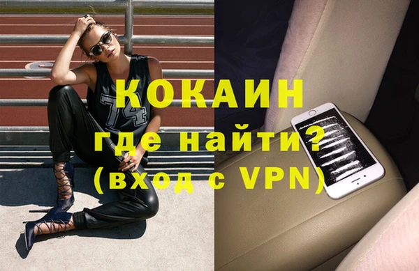 гидра Михайловка