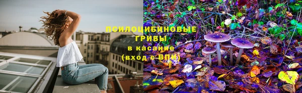 эйфоретик Михайловск