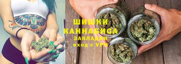 гидра Михайловка