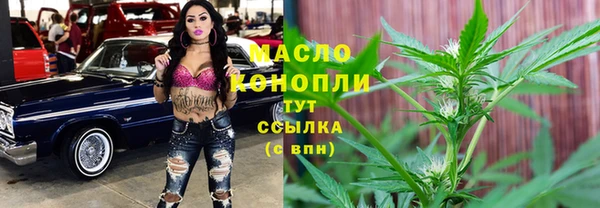 гидра Михайловка