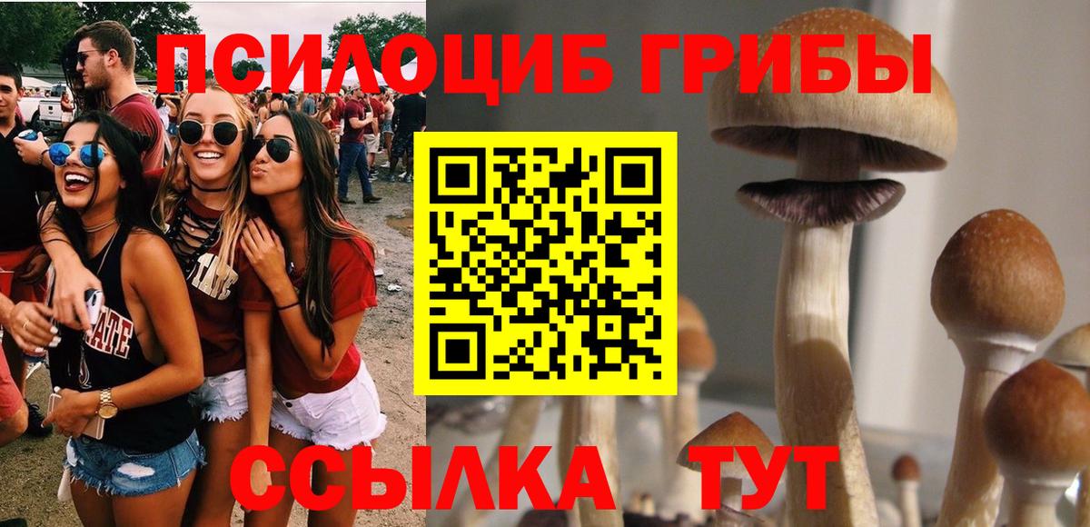 Псилоцибиновые грибы мухоморы Туймазы